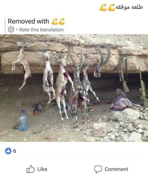 photo of poaching victims posted on facebook