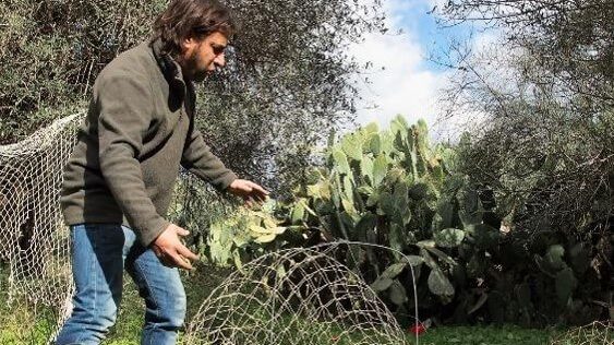 photo of a man removing nets for poaching