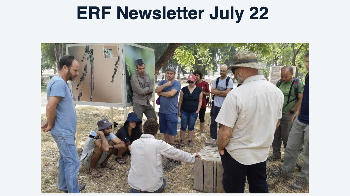 New ERF newsletter for July is out