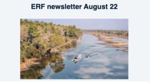 Newsletter for August available – sign up now