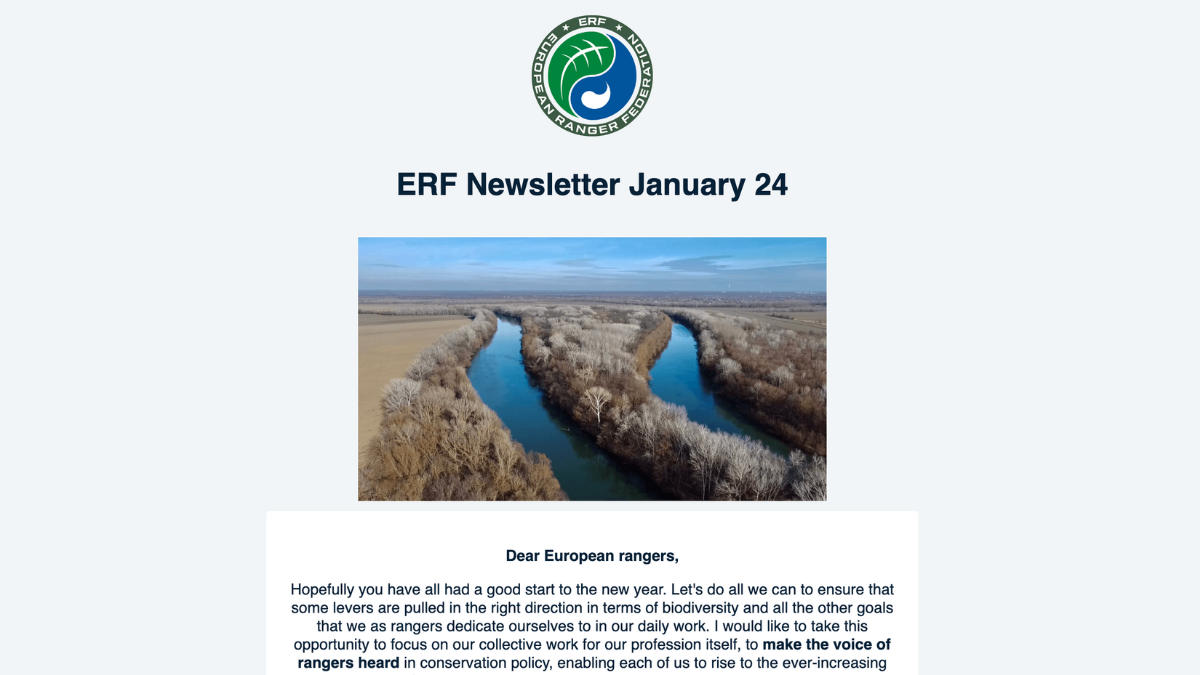 ERF January newsletter