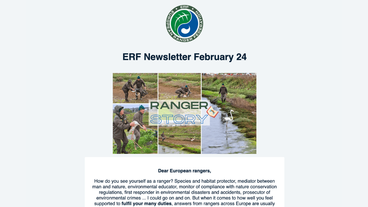 ERF February newsletter