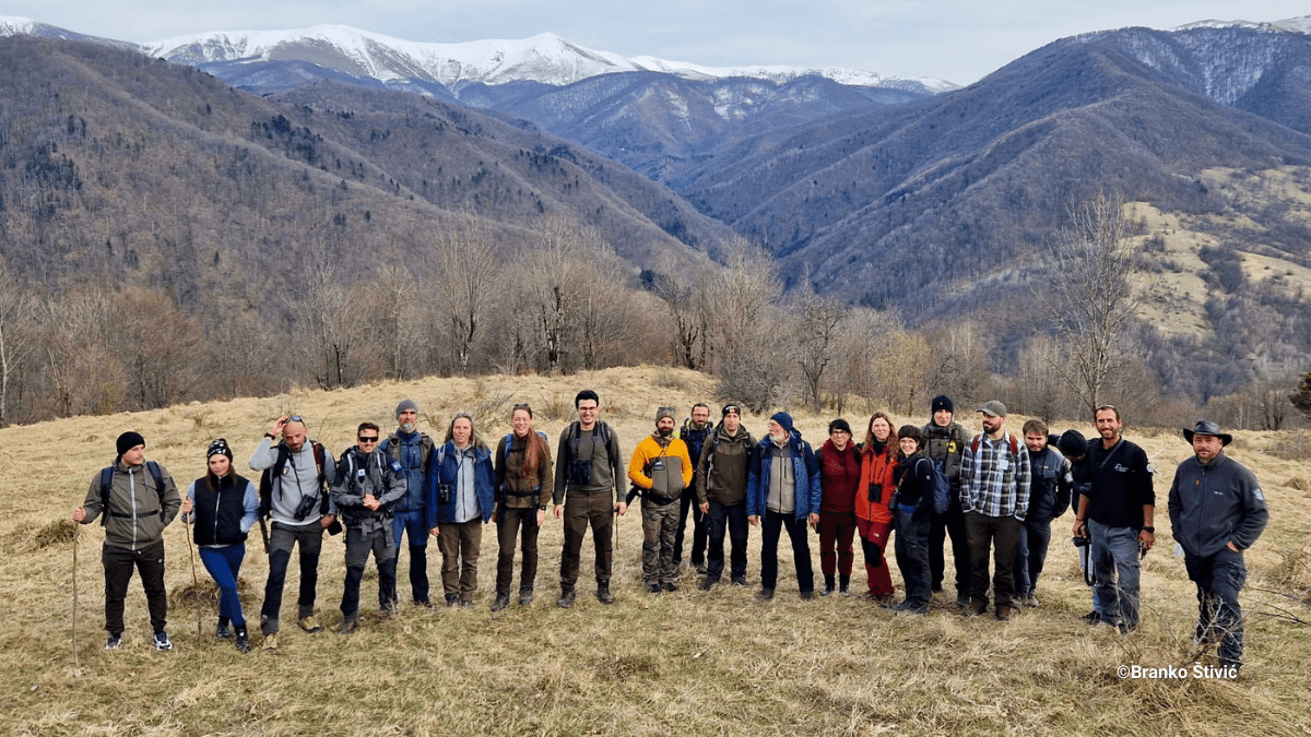 Learning at eye level: Romanian rangers share rewilding and conflict resolution experience
