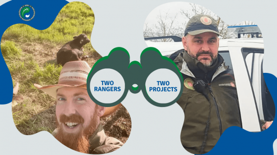 Two rangers, two projects: combating environmental crime and preserving wetlands